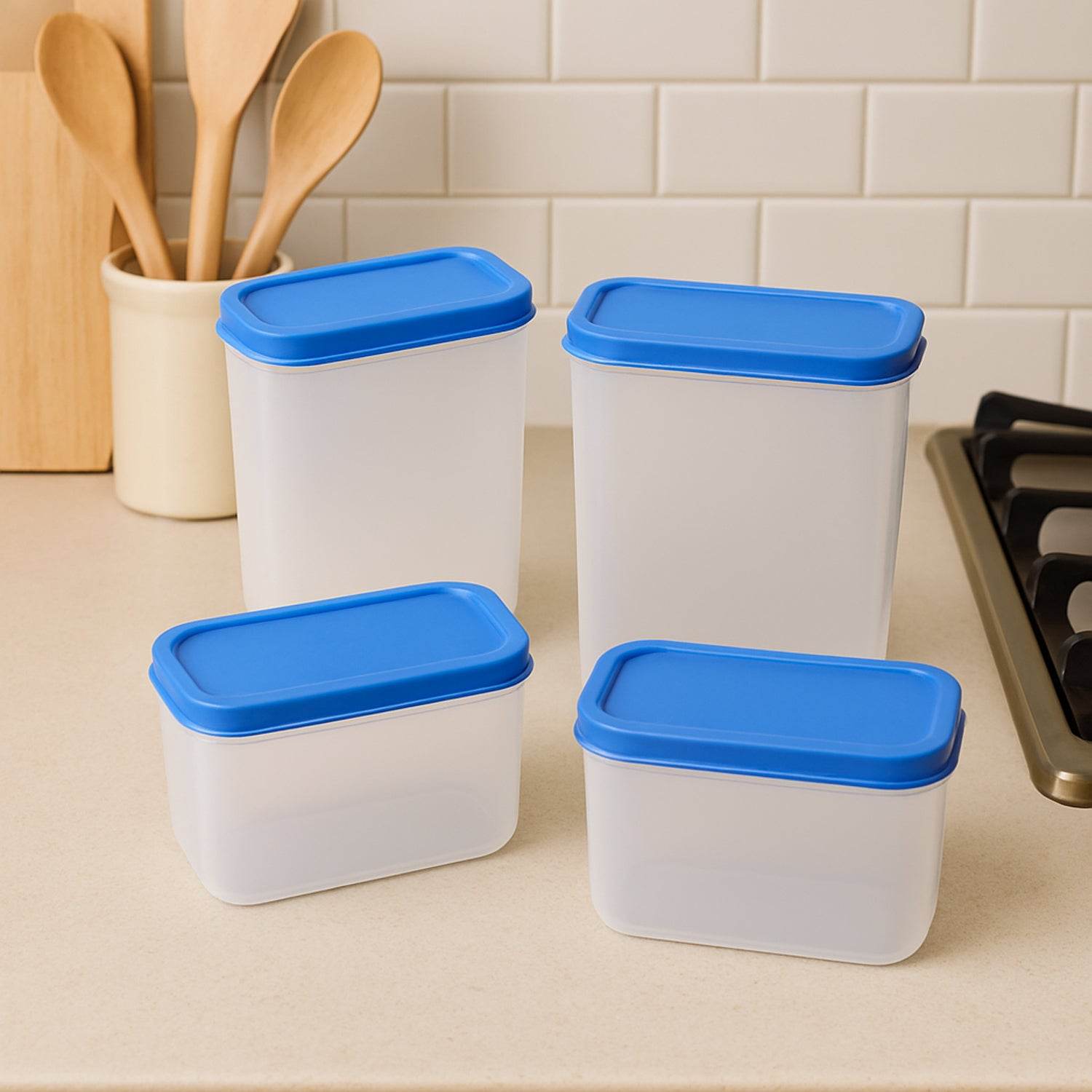 Apex Glory Plastic Storage Container Box Set (4 Pc) - 9XShoppy