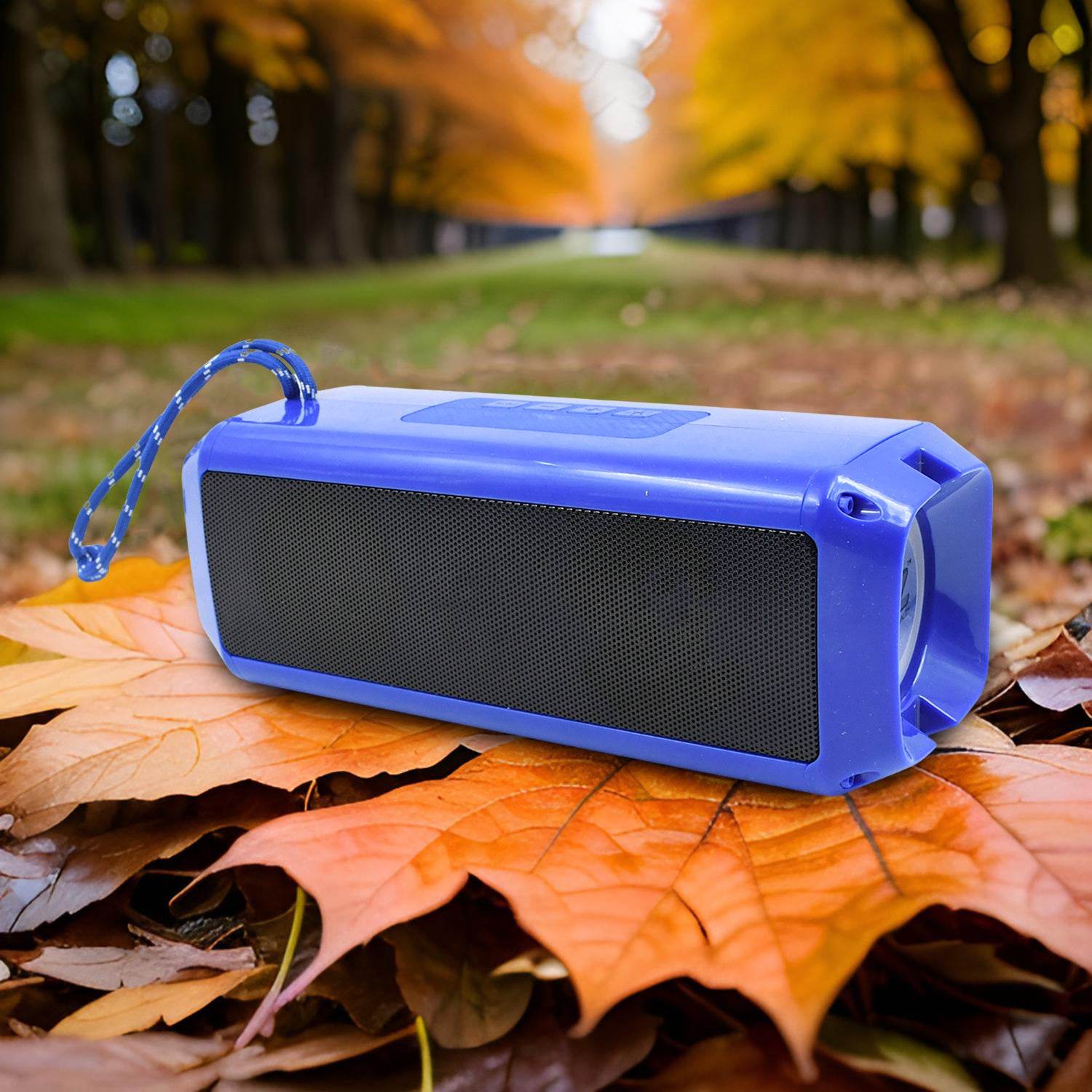 Portable Wireless Rechargeable Speaker Bluetooth Speaker (1 Pc) - 9XShoppy