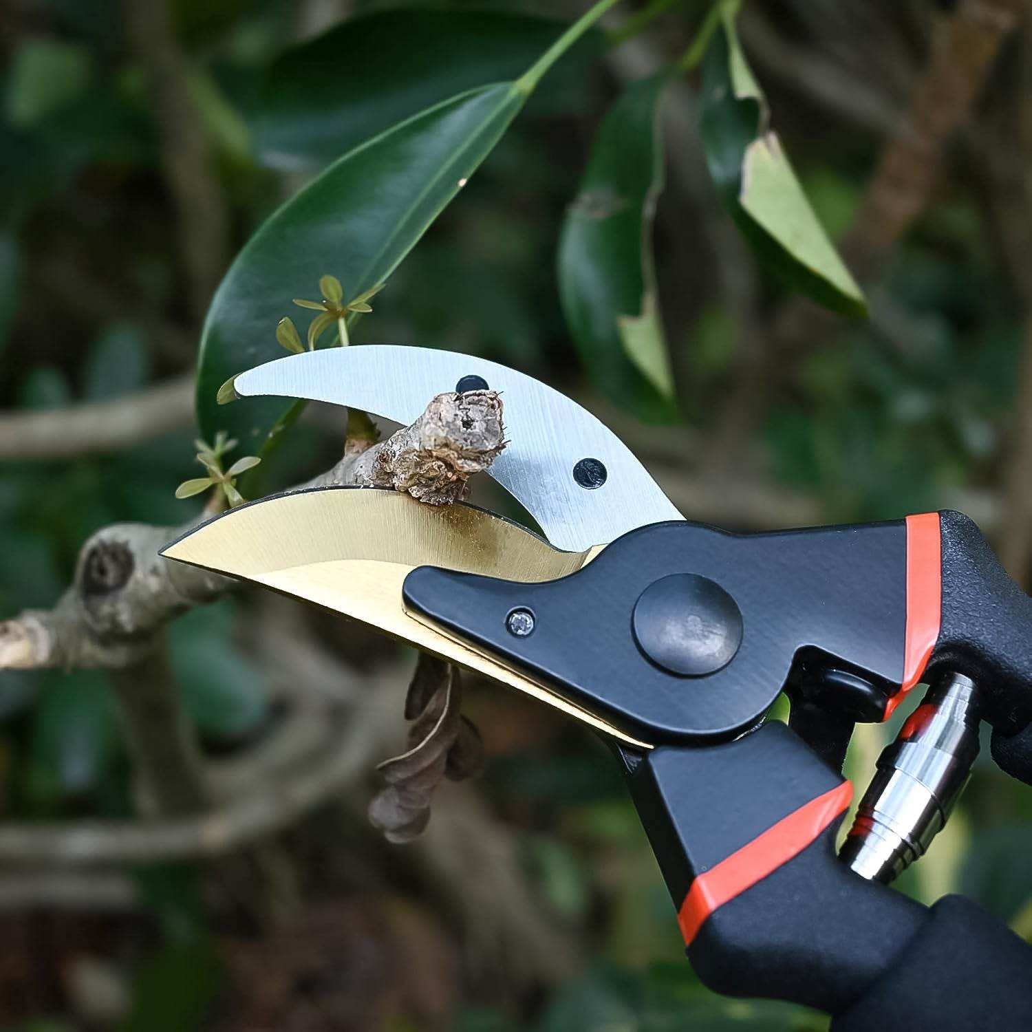 Heavy Duty Garden Pruning Shears (1 Pc) - 9XShoppy