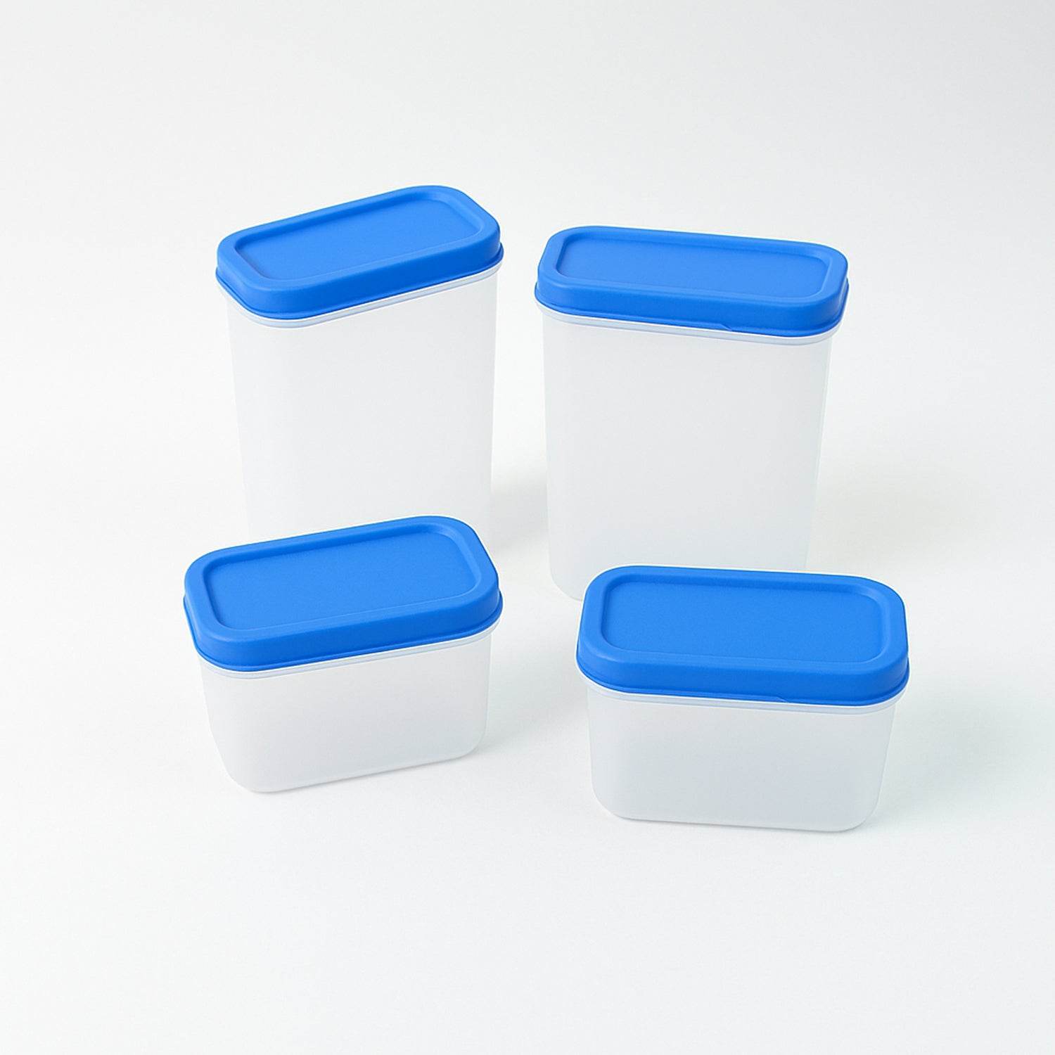 Apex Glory Plastic Storage Container Box Set (4 Pc) - 9XShoppy