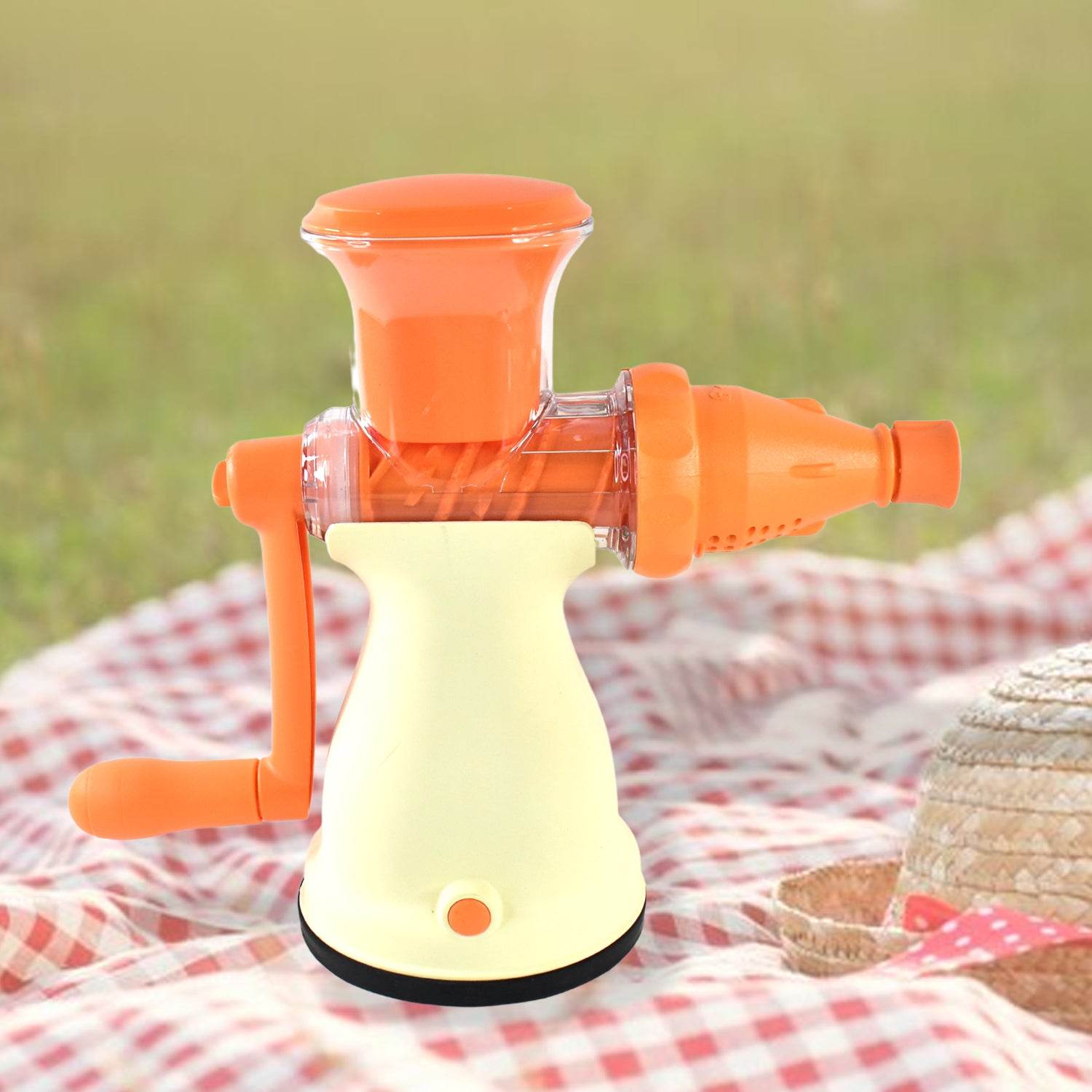 Apex Manual Carrot And Fruit Juicer Heavy-duty (1 Pc With Glass) - 9XShoppy