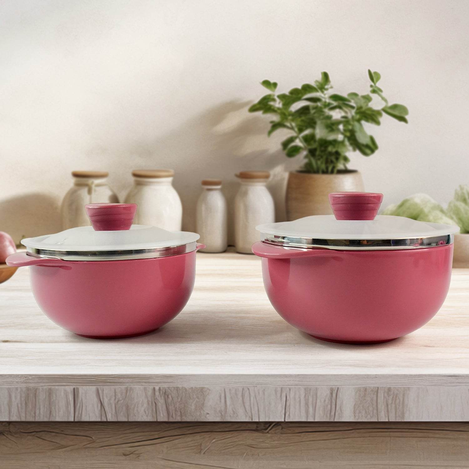 Apex Premium Plastic Serving Bowl Set With Lids (2 Pc) - 9XShoppy