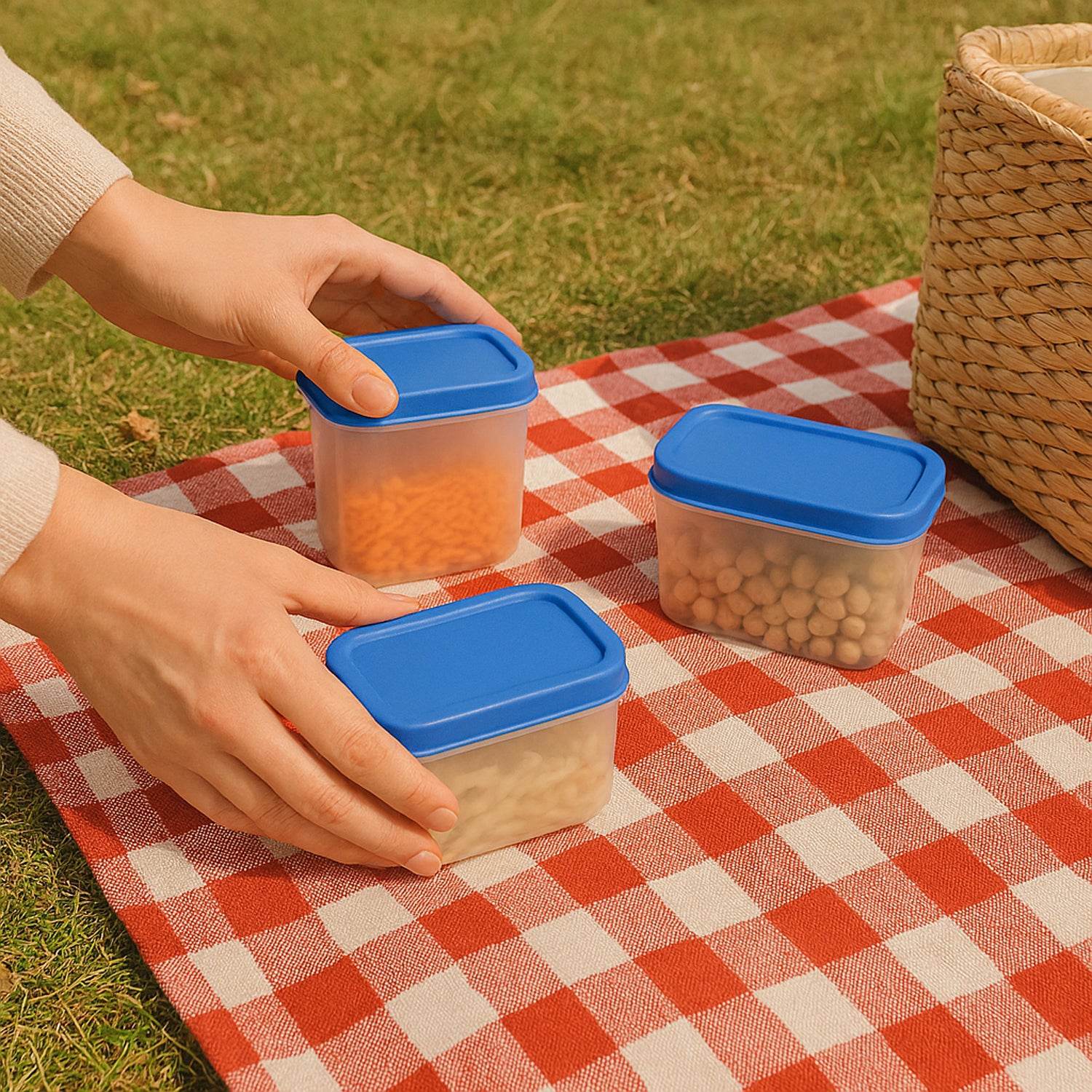 Apex Glory Plastic Storage Container Box Set (4 Pc) - 9XShoppy