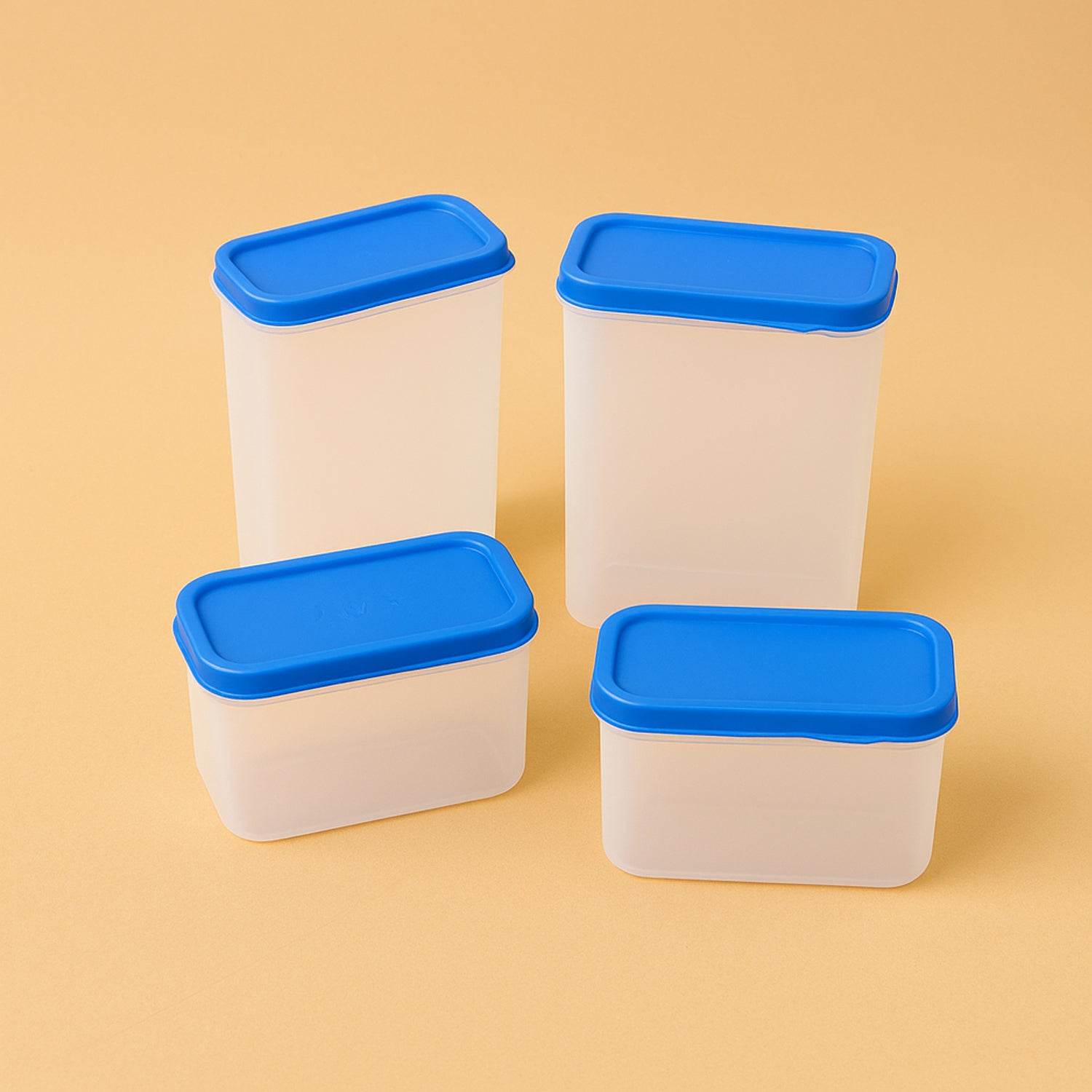 Apex Glory Plastic Storage Container Box Set (4 Pc) - 9XShoppy