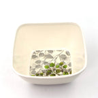 13 Pc Pudding Set Used As A Cutlery Set - 9XShoppy