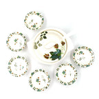 Pudding Set 9 Pc - 9XShoppy