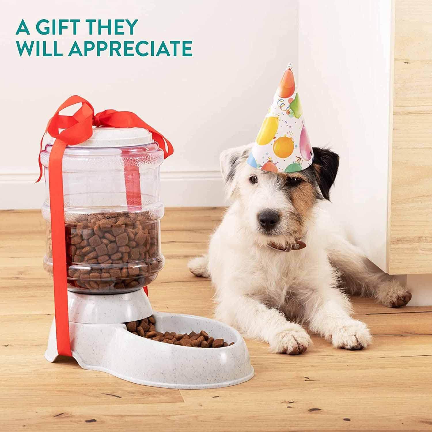 Pet Feeder Food Dispenser - Replenish Pet Food For Dog Cat Animal Automatic Gravity Dry Food Storage Bottle - 9XShoppy
