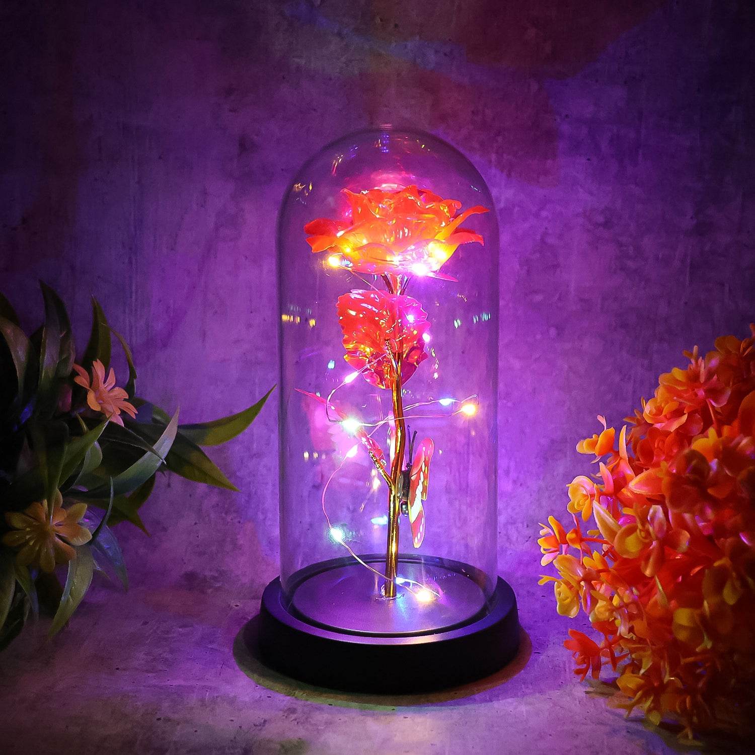 Elegant Led Eternal Rose In Plastic Dome (1 Pc Battery Not Included) - 9XShoppy