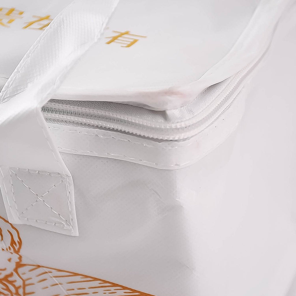 Insulated Thermal Lunch Bag (1 Pc) - 9XShoppy