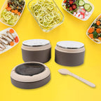 8147 Ganesh Smart Stack 2 Layer Protable Lunch Box Stainless Steel Airtight Leak-proof Lunch Box For Office School Picnic - Color May Vary - 9XShoppy