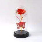 Elegant Led Eternal Rose In Plastic Dome (1 Pc Battery Not Included) - 9XShoppy