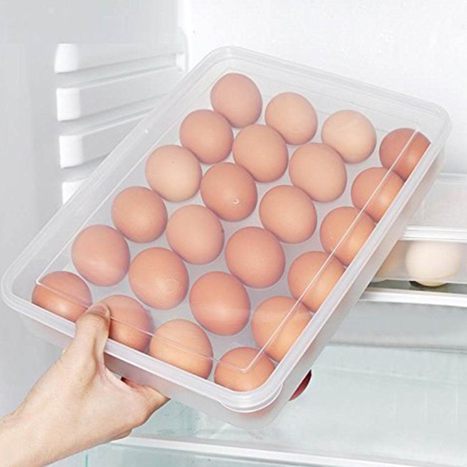 Plastic Egg Storage Container Holder For Refrigerator Egg Tray Holds 24 Eggs (1 Pc) - 9XShoppy