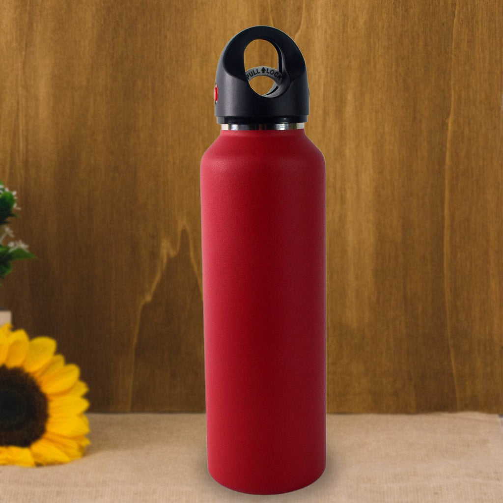 Vacuum Insulated Stainless Steel Water Bottle (630 Ml) - 9XShoppy
