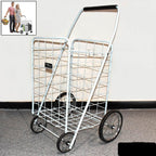Foldable Shopping Trolley With Wheels ( Moq - 2 Pc) - 9XShoppy