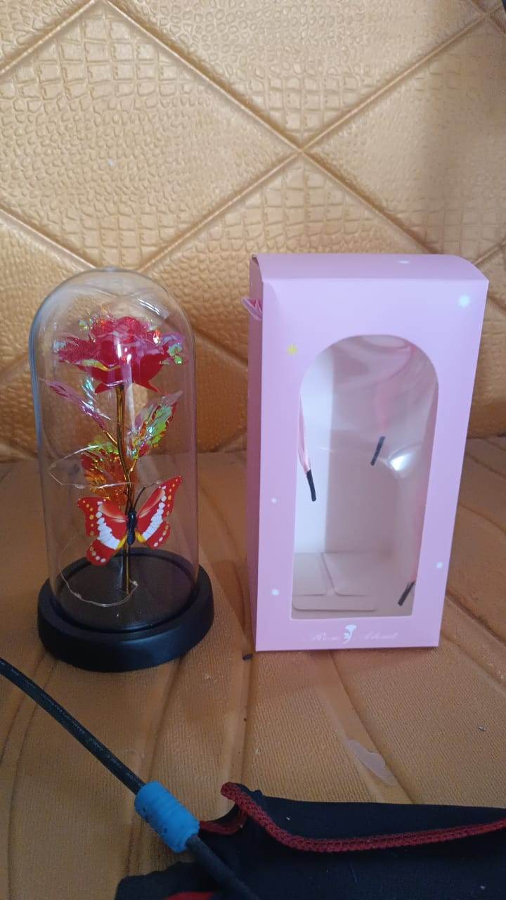 Elegant Led Eternal Rose In Plastic Dome (1 Pc Battery Not Included) - 9XShoppy