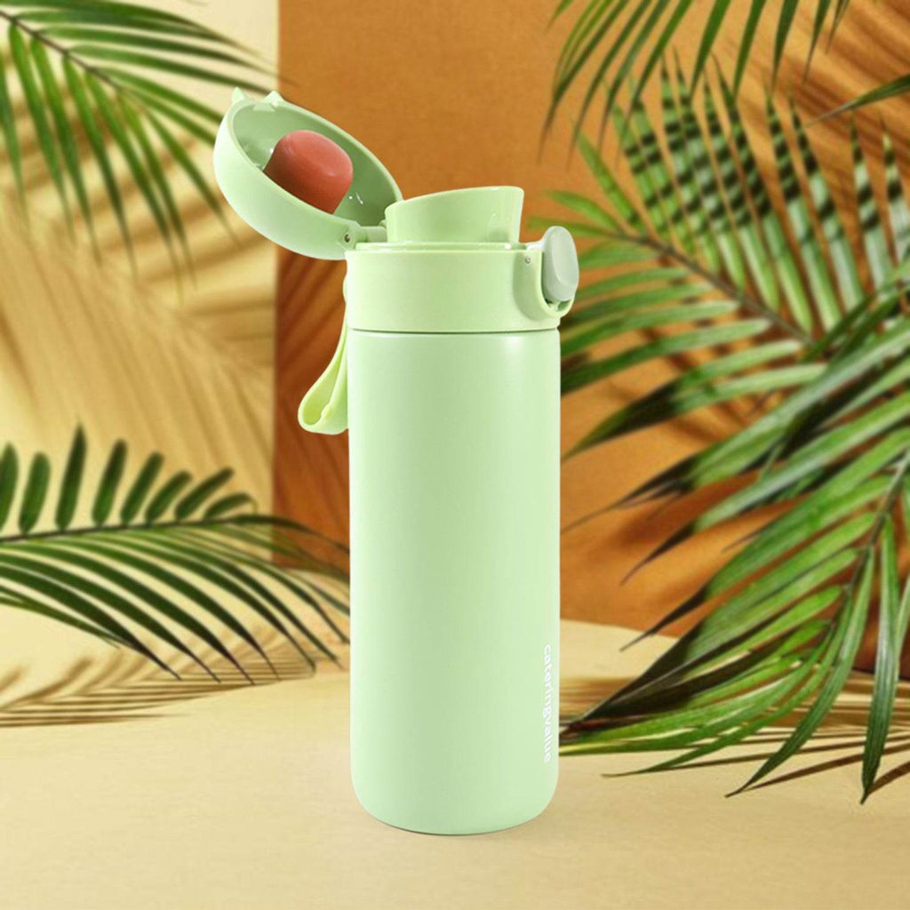 Stainless Steel Insulated Water Bottle (450 Ml) - 9XShoppy