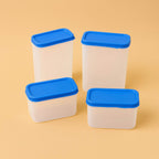Apex Glory Plastic Storage Container Box Set (4 Pc) - 9XShoppy