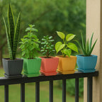 Trendy Square Plastic Flower Pots Set Of 5 - 9XShoppy