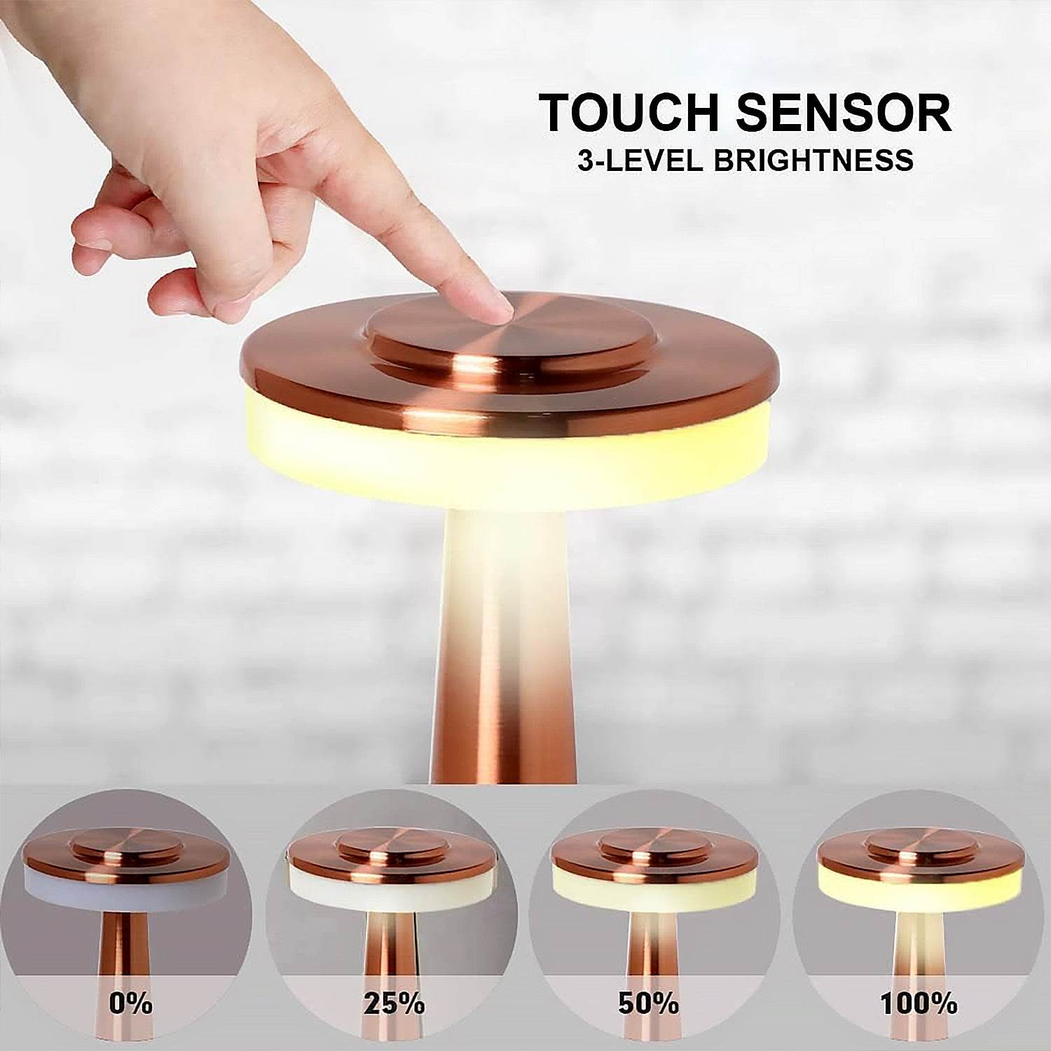 Led Lamp With Touch Control Decorative Desk Lamp Portable Metal Led Table Lamp Usb Rechargeable 3 Color 3 Levels Brightness Dimmable Eye Protection Modern Lamp For Home Decor Party Kids Room Bedroom (1 Pc) - 9XShoppy
